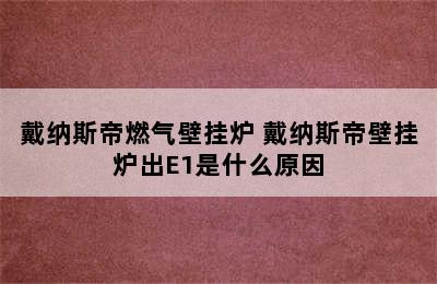 戴纳斯帝燃气壁挂炉 戴纳斯帝壁挂炉出E1是什么原因